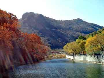 管家婆黑白马报图库，青礞石产地